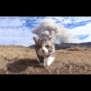 Meet your Posher, Jasmine